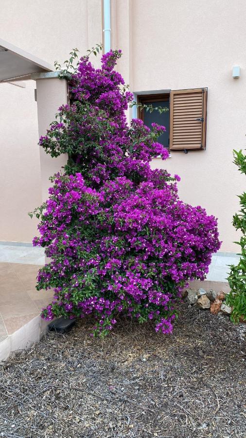 Villa Lp Kokkino Chorio 外观 照片