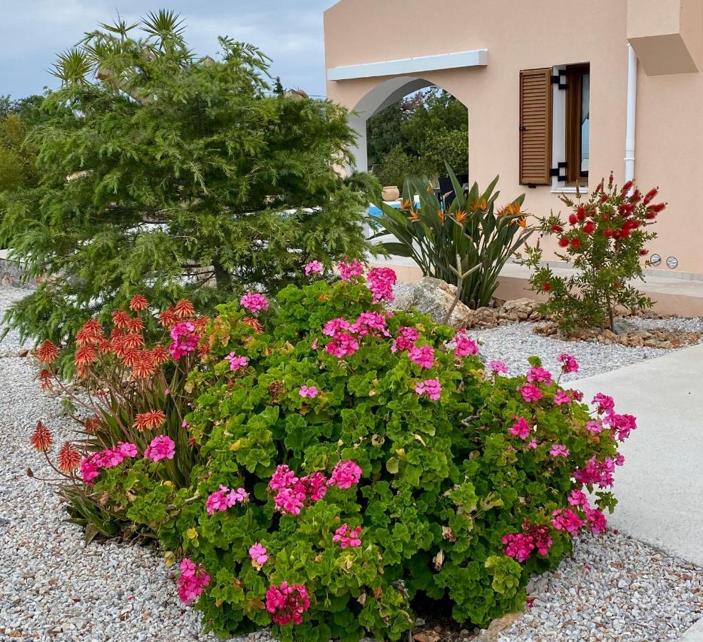 Villa Lp Kokkino Chorio 外观 照片