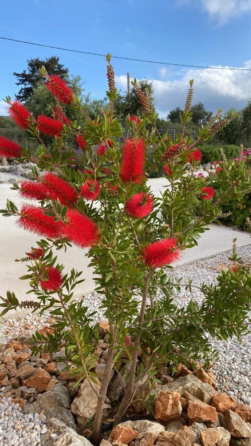 Villa Lp Kokkino Chorio 外观 照片